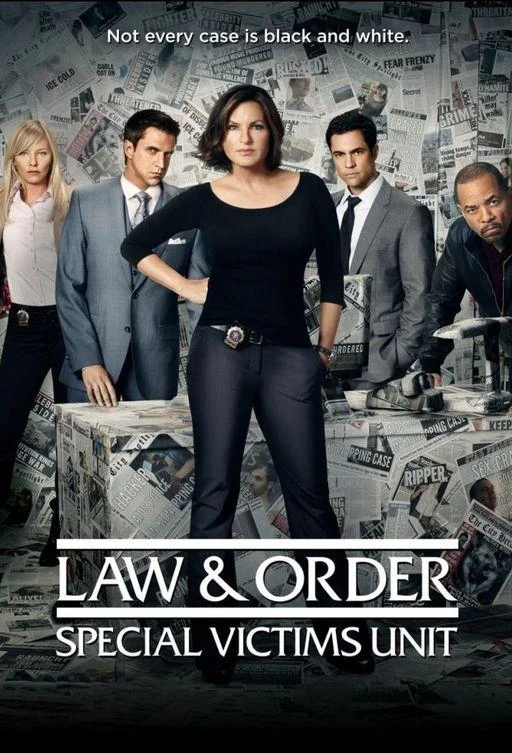 Сериал Закон и порядок. Специальный корпус 1999 смотреть онлайн бесплатно в хорошем качестве